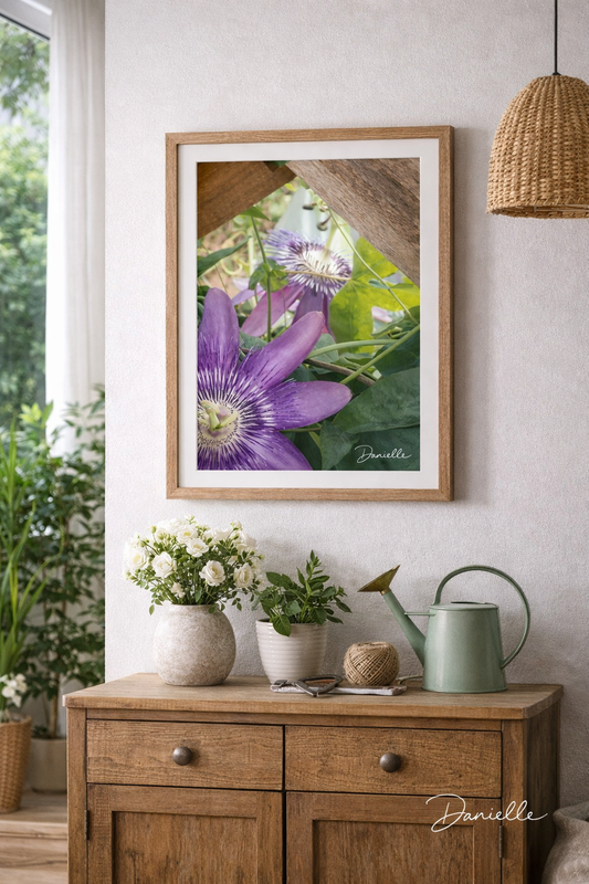 Through the Garden Gate - Passion Flower Digital Print