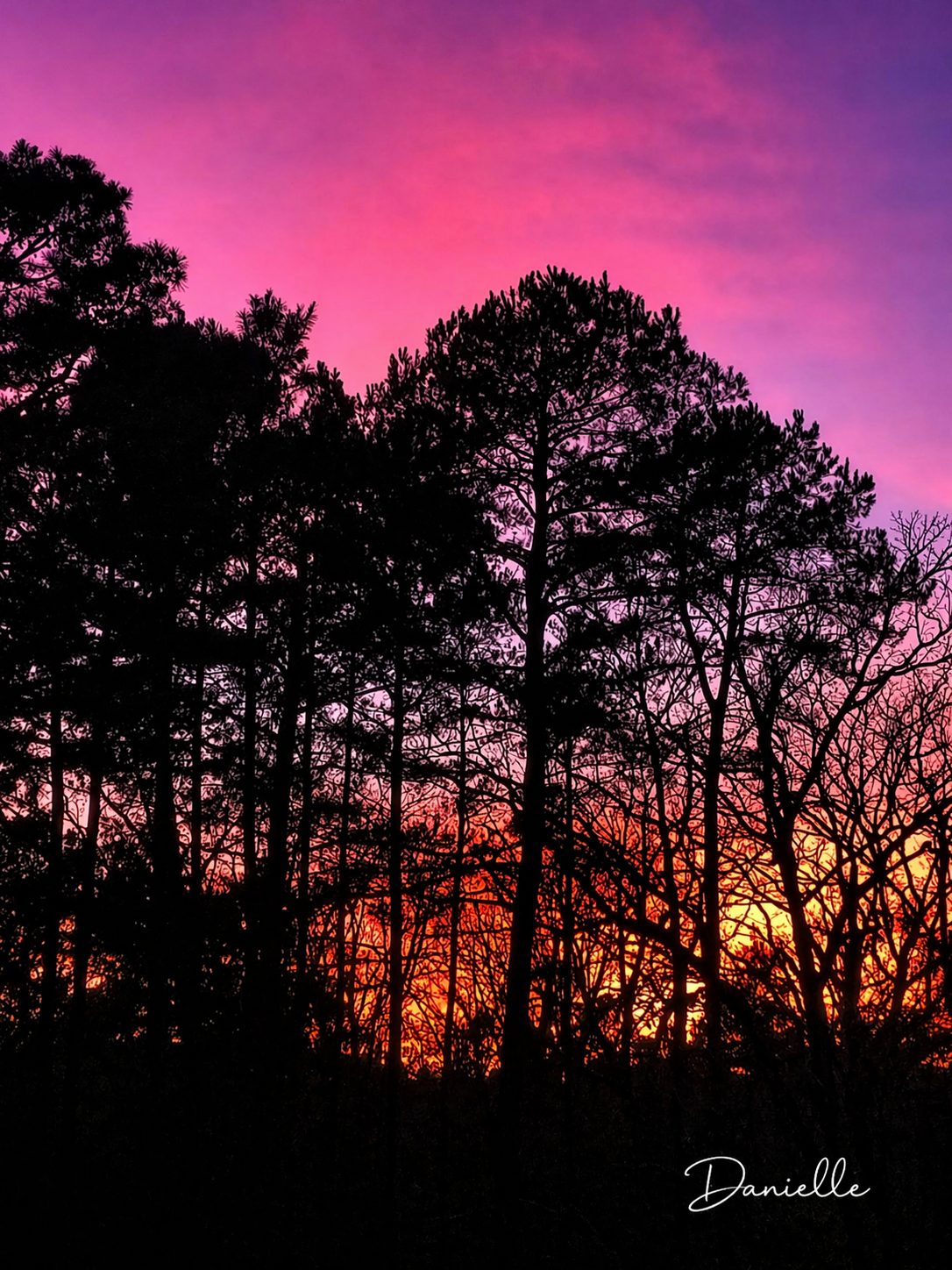 Crimson Canopy Sunset - Dramatic Sunset Digital Print