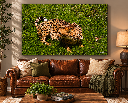 A Quiet Ferocity — Cheetah Digital Print | Wildlife Wall Art