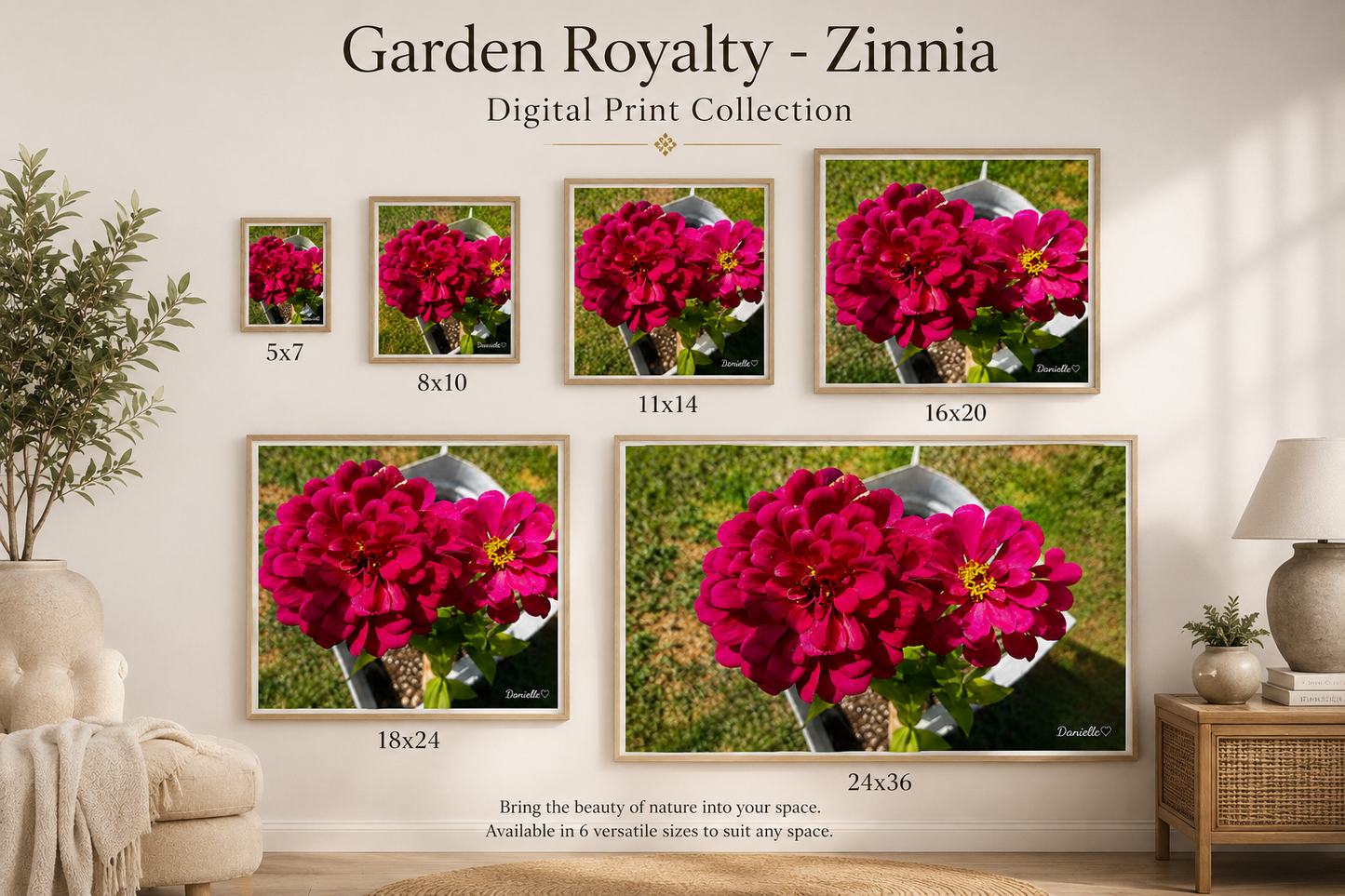 Garden Royalty - Zinnia Digital Print