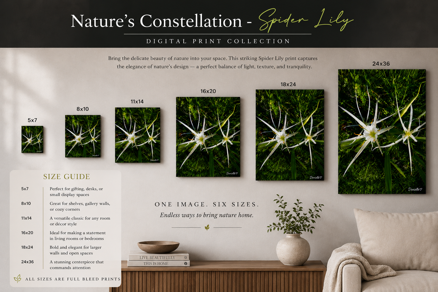 Nature's Constellation - Spider Lily Digital Print
