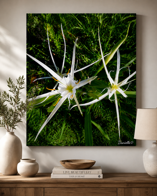 Nature's Constellation - Spider Lily Digital Print