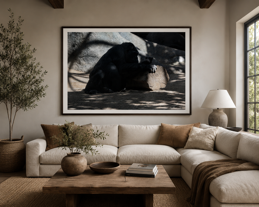 Silent Wisdom — Gorilla Digital Print | Wildlife Wall Art