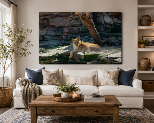 The Matriarch — Lioness Digital Print | Wildlife Wall Art