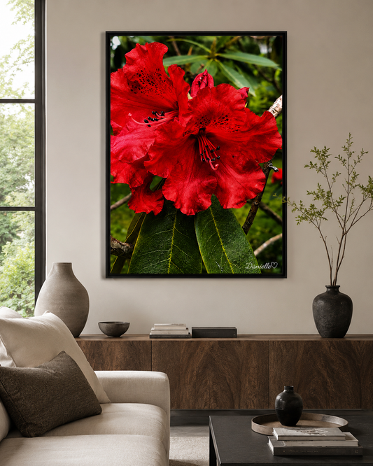 Unapologetic Red - Botanical Digital Print