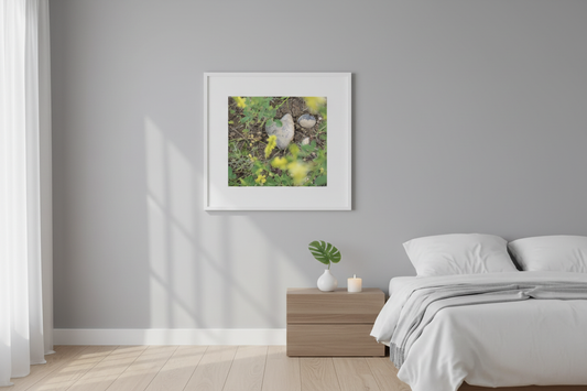 Nature's Heart mockup